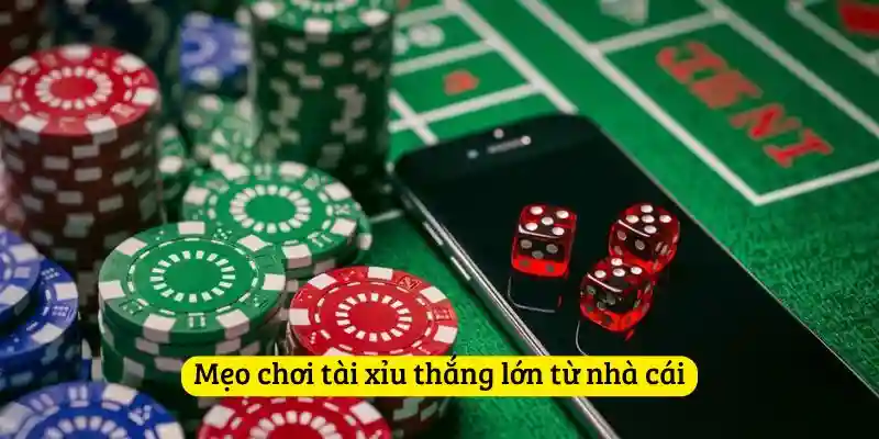 Mẹo chơi tài xỉu thắng lớn từ nhà cái