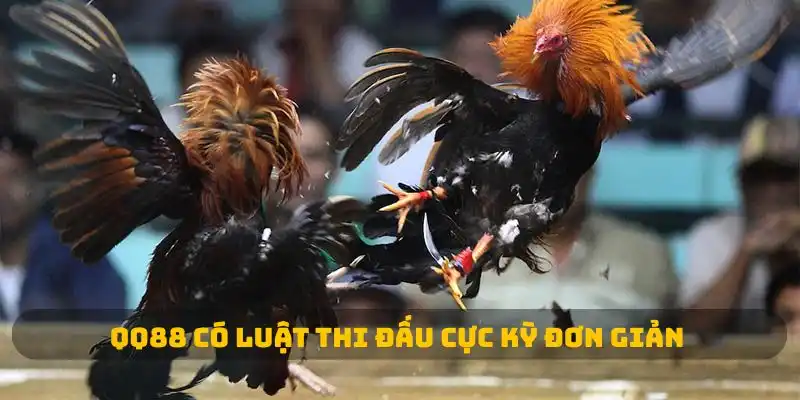 QQ88 có luật thi đấu cực kỳ đơn giản