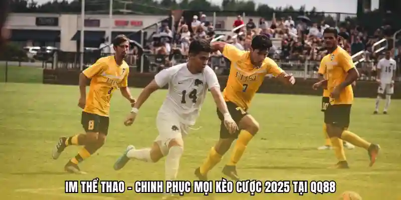 IM thể thao qq88