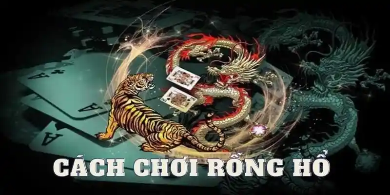 Chi tiết cách chơi giúp newbie làm quen