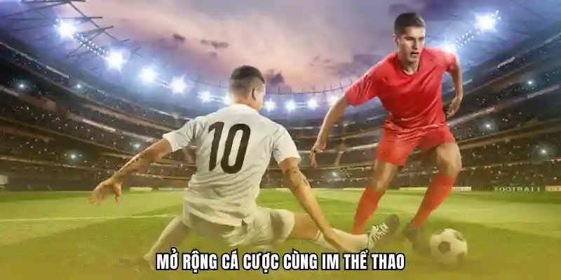 Mở rộng cá cược cùng IM thể thao