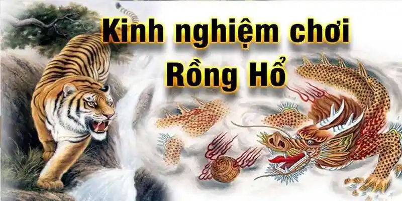 Tuyển tập bí kíp từ cao thủ ẩn mình